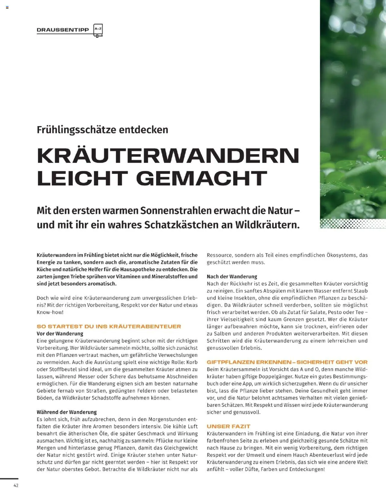 Sport2000 Mission Outdoor – gültig ab 28.03.2025 | Seite: 42 | Produkte: Korb, Küche, Wasser, Tee