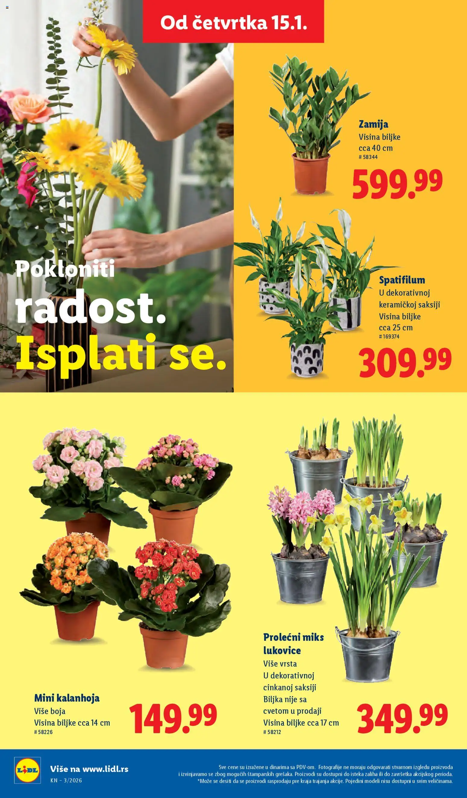 Lidl katalog - važi od 15.01.2026 | Strana: 40 | Proizvode: Kalanhoja