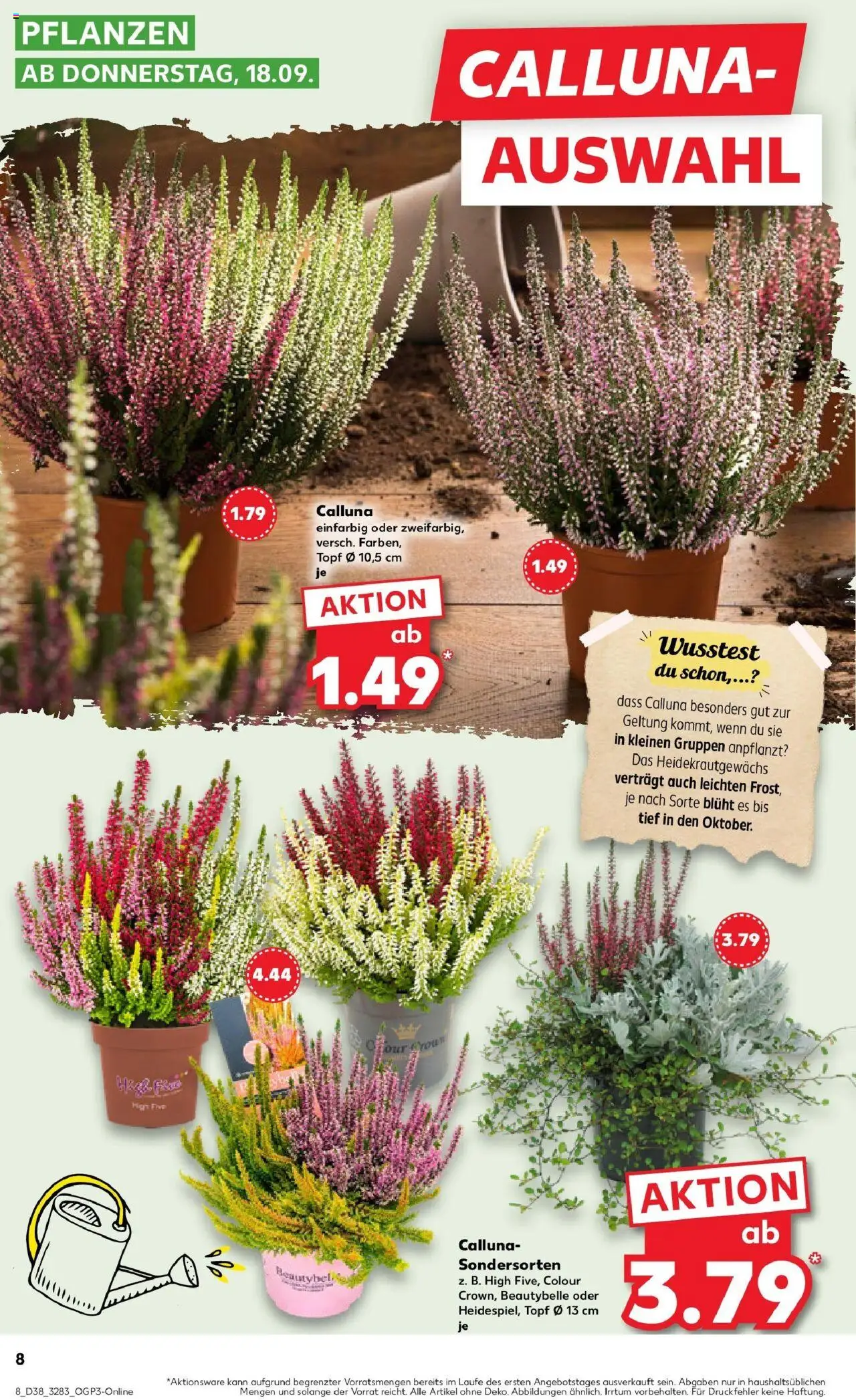 Kaufland prospekt Eisenberg	 – gültig ab 21.09.2025 | Seite: 8