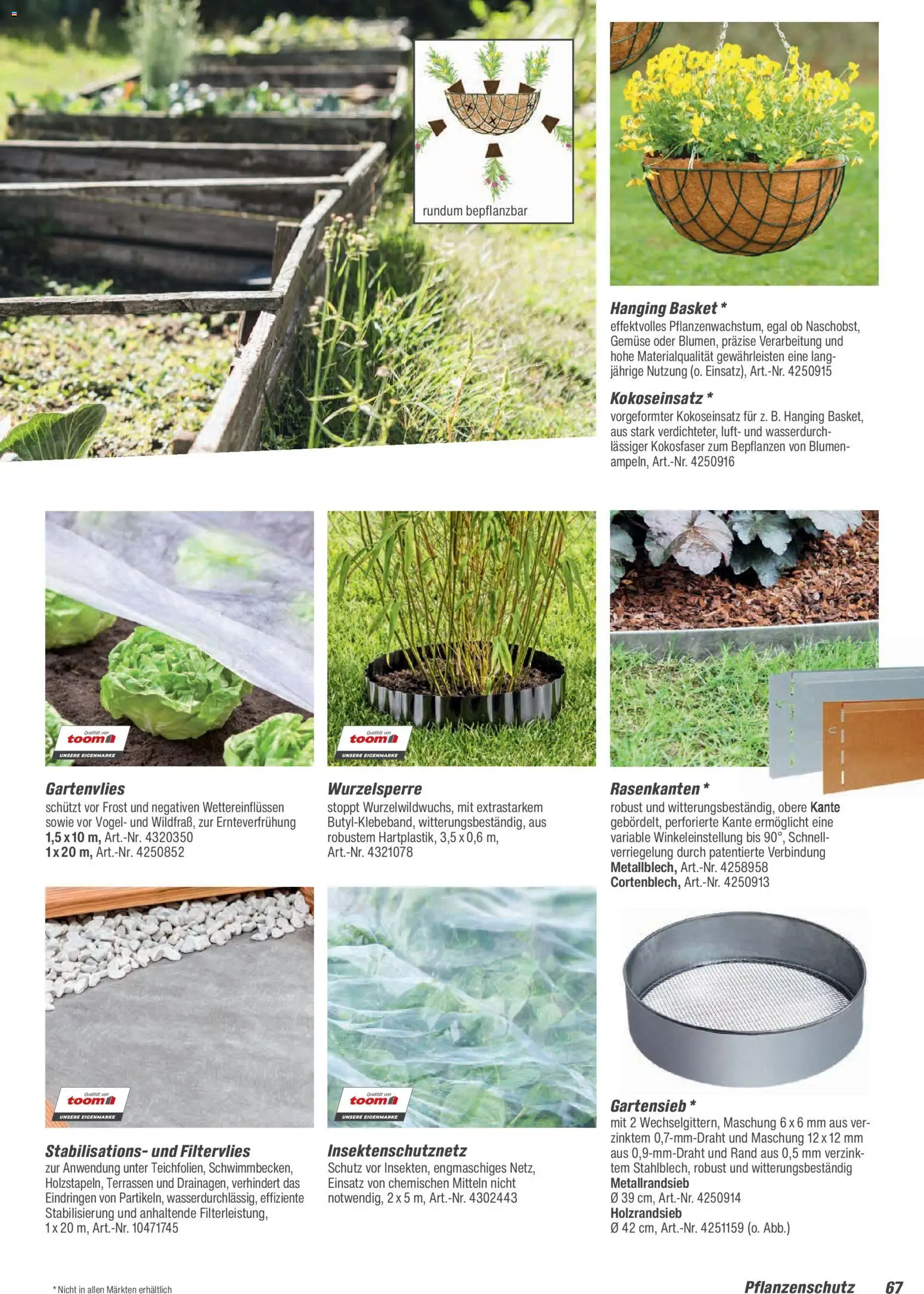 Toom Baumarkt Gartenpflege & Teich 2026 – gültig ab 20.02.2026 | Seite: 67 | Produkte: Blumen, Gemüse