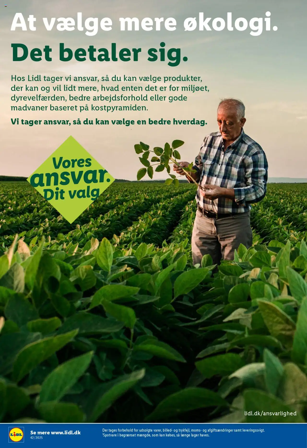 Lidl tilbudsavis – gyldig fra 12.10.2025 | Side: 15 | Produkter: Søm