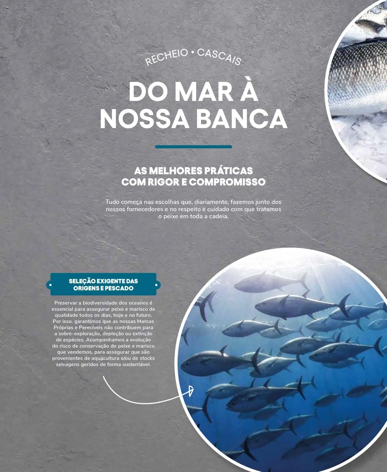 Recheio Peixaria │ válido de 19.09.2024 | Página: 4