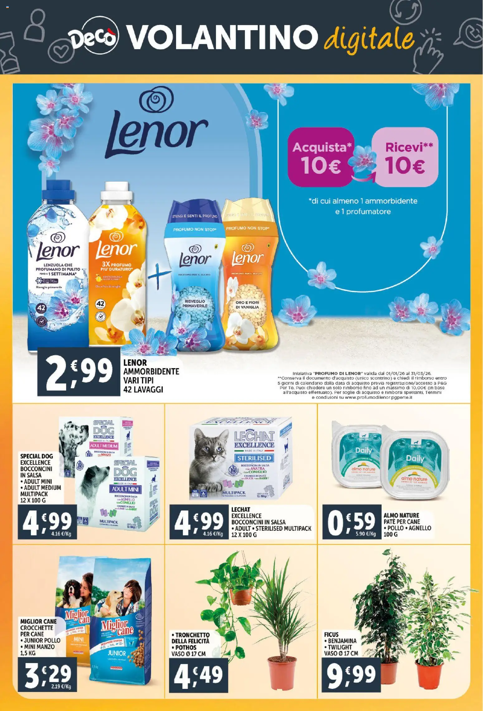 Volantino Decò del 23.02.2026 | Pagina: 31 | Prodotti: Ammorbidente, Salsa, Data, Vaso