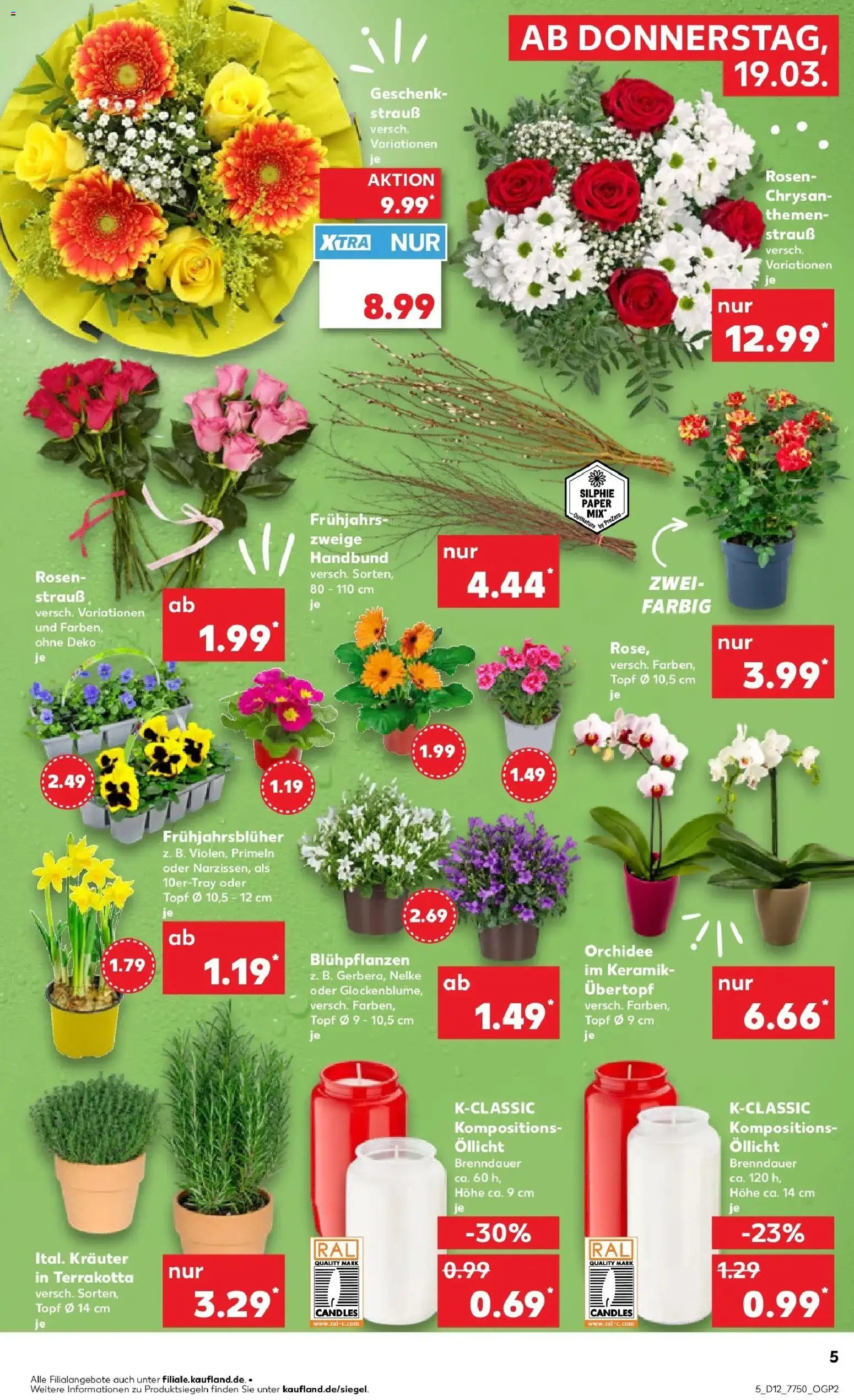 Kaufland Prospekt Cloppenburg	 – gültig ab 19.03.2026 | Seite: 5 | Produkte: Orchidee