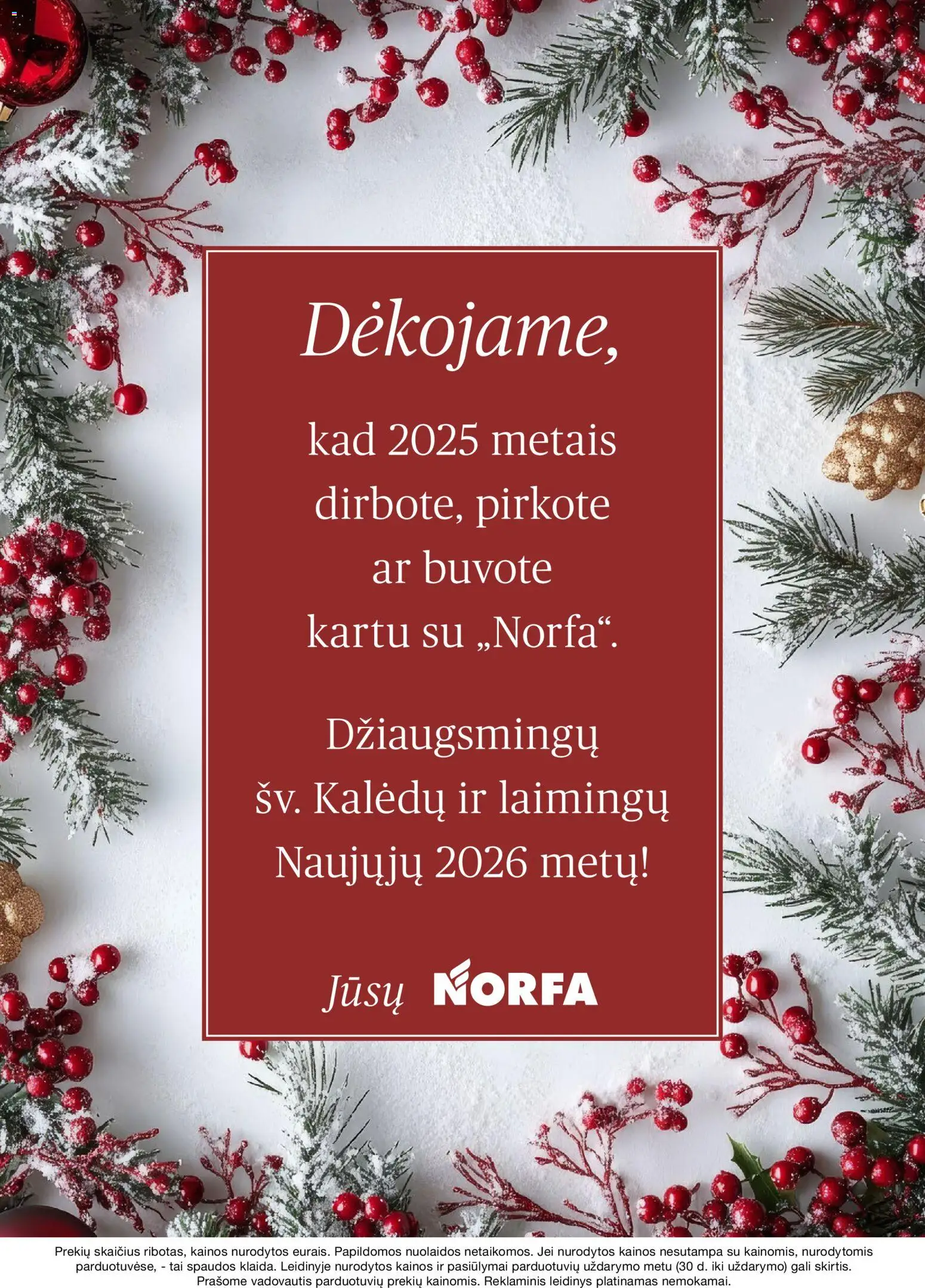 NORFA akcijos nuo 11.12.2025 | Puslapis: 32