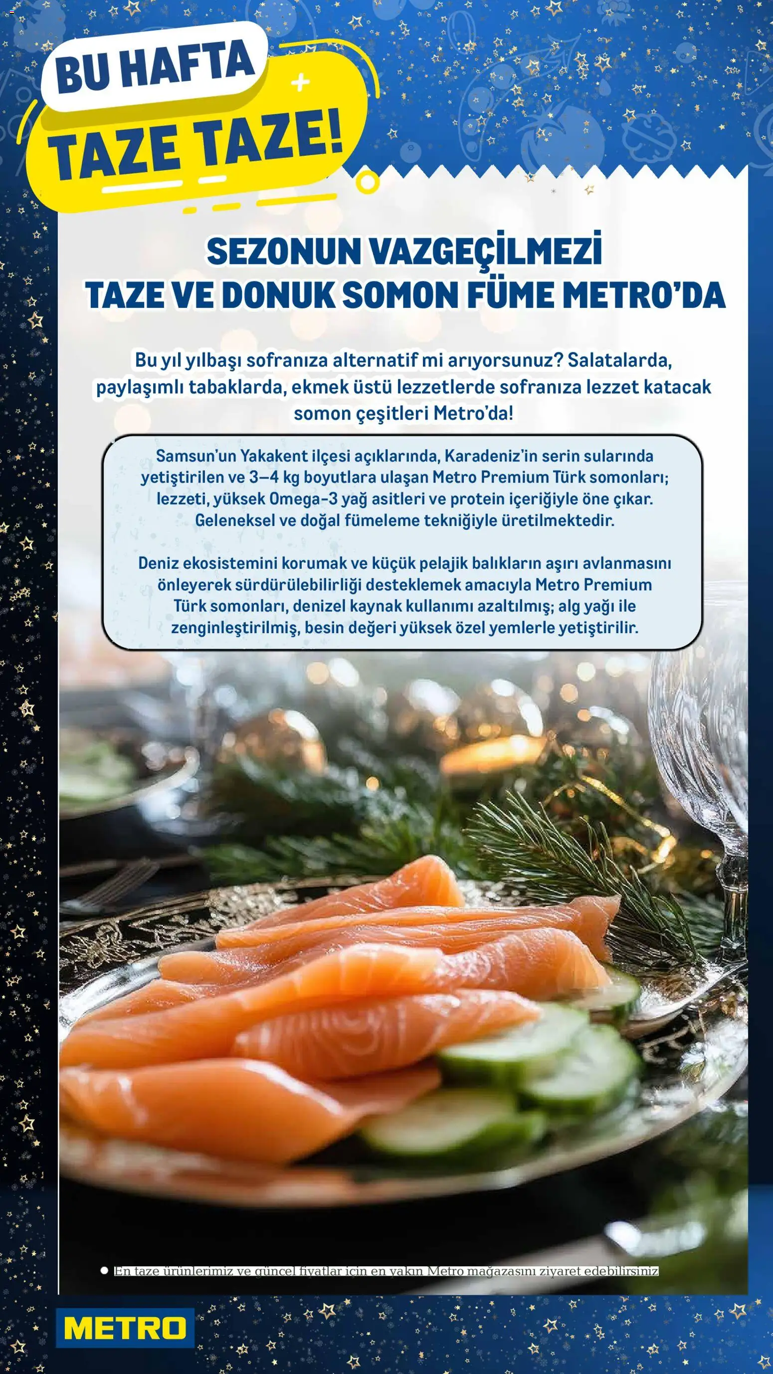 Metro Katalog - 24.12.2025 tarihinden itibaren geçerlidir | Sayfa: 8 | Ürünler: Ekmek, Yağ, Somon