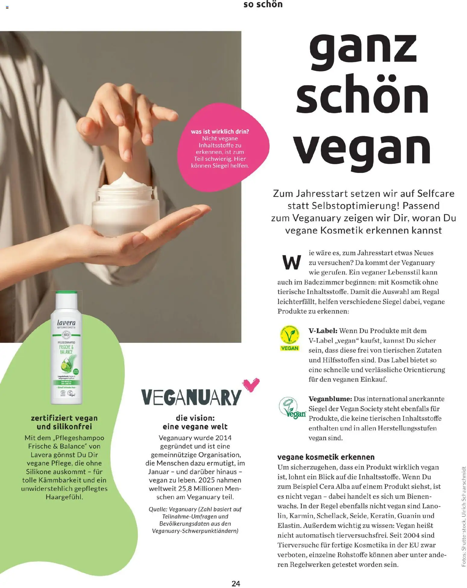 Budni Perle Magazin 01/26 – gültig ab 05.01.2026 | Seite: 24 | Produkte: Regal