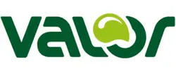 Logo prodavnice Valor u kategoriji Hipermarketi