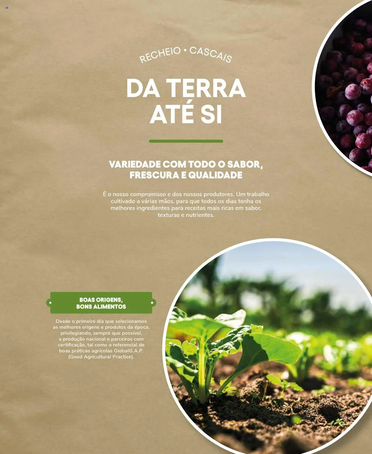 Recheio Frutas e Legumes │ válido de 19.09.2024 | Página: 4