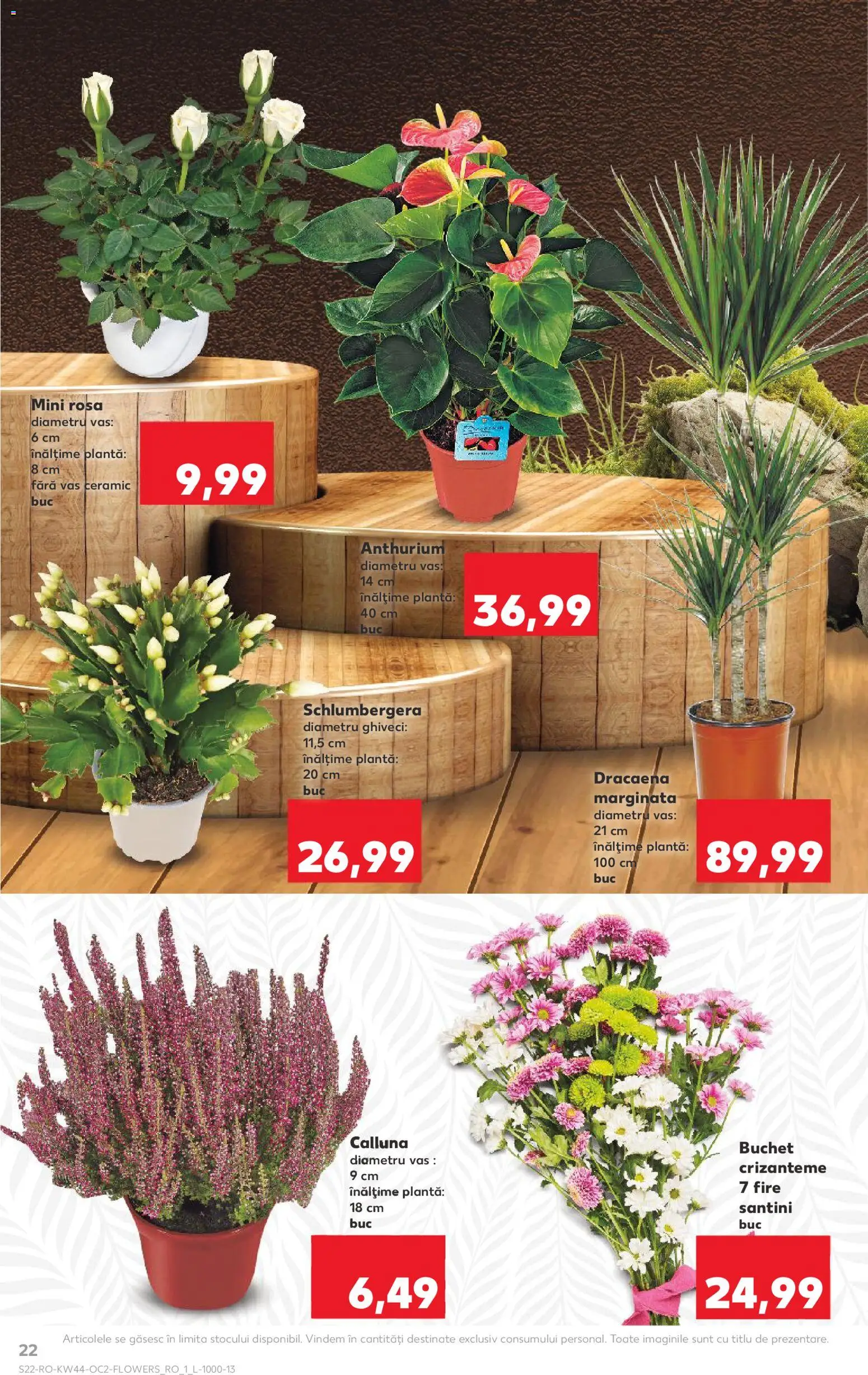 Kaufland RO akciós ujság - amely érvényes a következő dátumtól: 29.10.2025 | Oldal: 22
