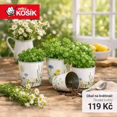 Náhled letáku Velký Košík leták od 08.04.2026 | Strana: 3