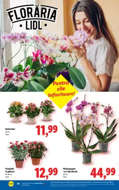 Catalog Lidl – valabil de la 21.07.2025 | Pagină: 50