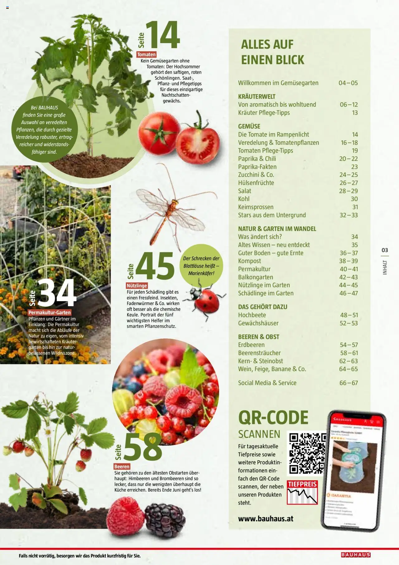 Bauhaus Reiche Ernte Magazin 2025 gültig ab 01.07.2025 | Seite: 3 | Produkte: Erdbeeren, Salat, Obst, Tomaten