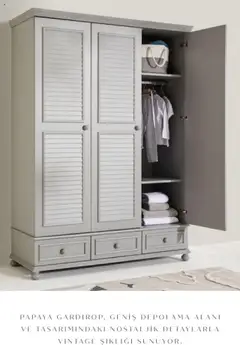 01.01.2025 tarihinden itibaren geçerli olan Mudo kataloğu önizlemesi | Sayfa: 17 | Ürünler: Papaya