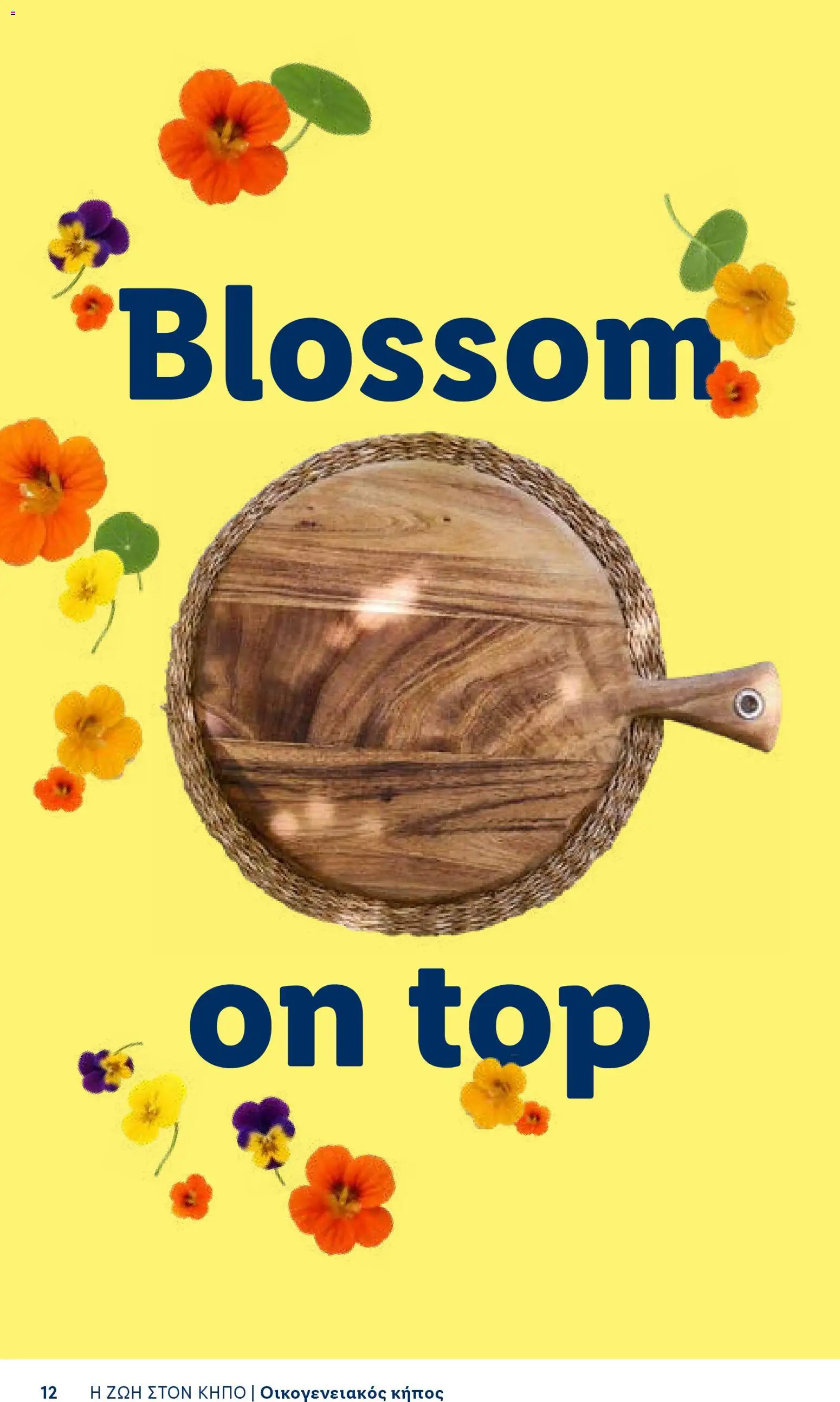 Lidl φυλλαδιο - Garden  – σε ισχύ από 16.04.2026 | Σελίδα: 12