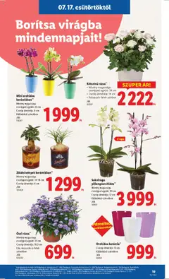 Lidl akciós ujság - amely érvényes a következő dátumtól: 17.07.2025 | Oldal: 19