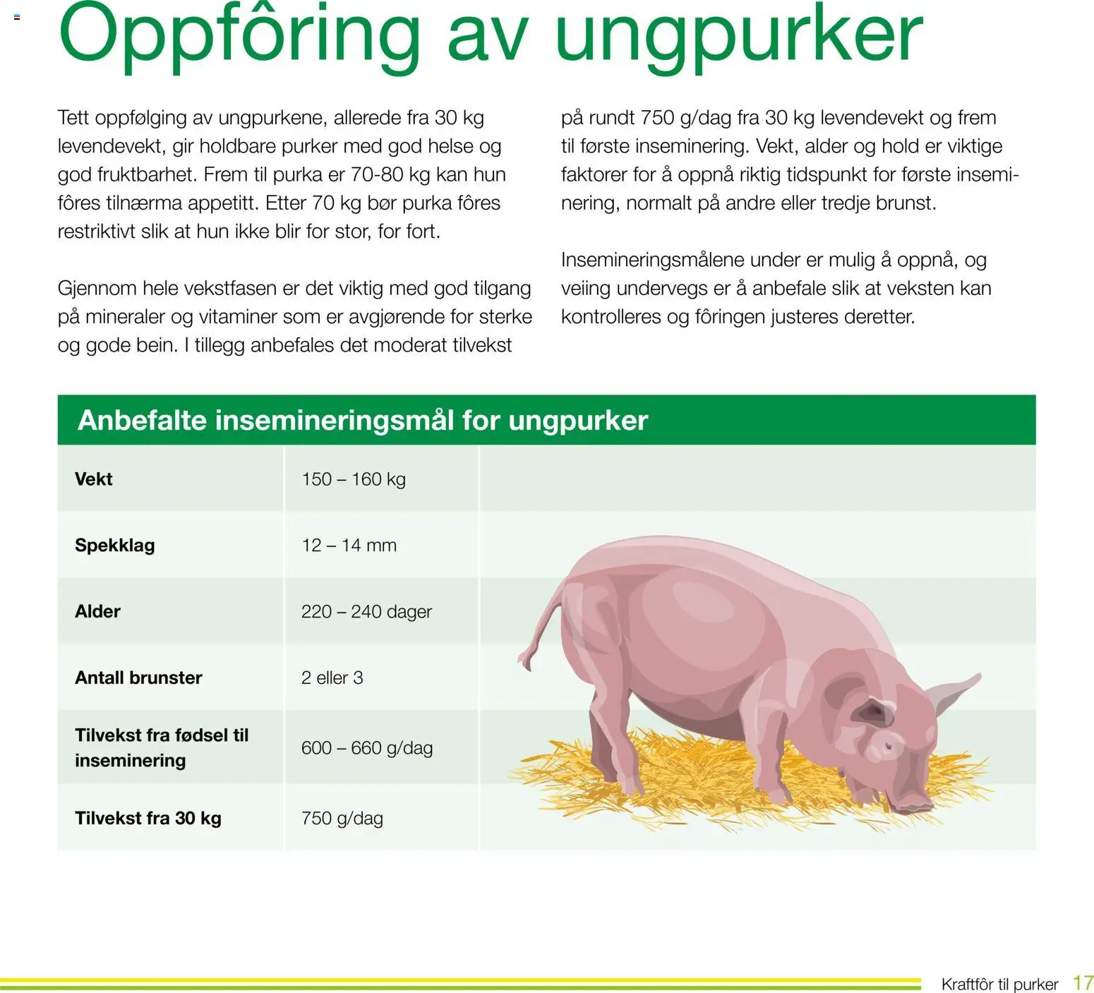 {H1} | Side: 17 | Produkter: Vekt