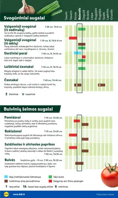 LIDL leidinys galioja nuo 30.03.2026 | Puslapis: 6