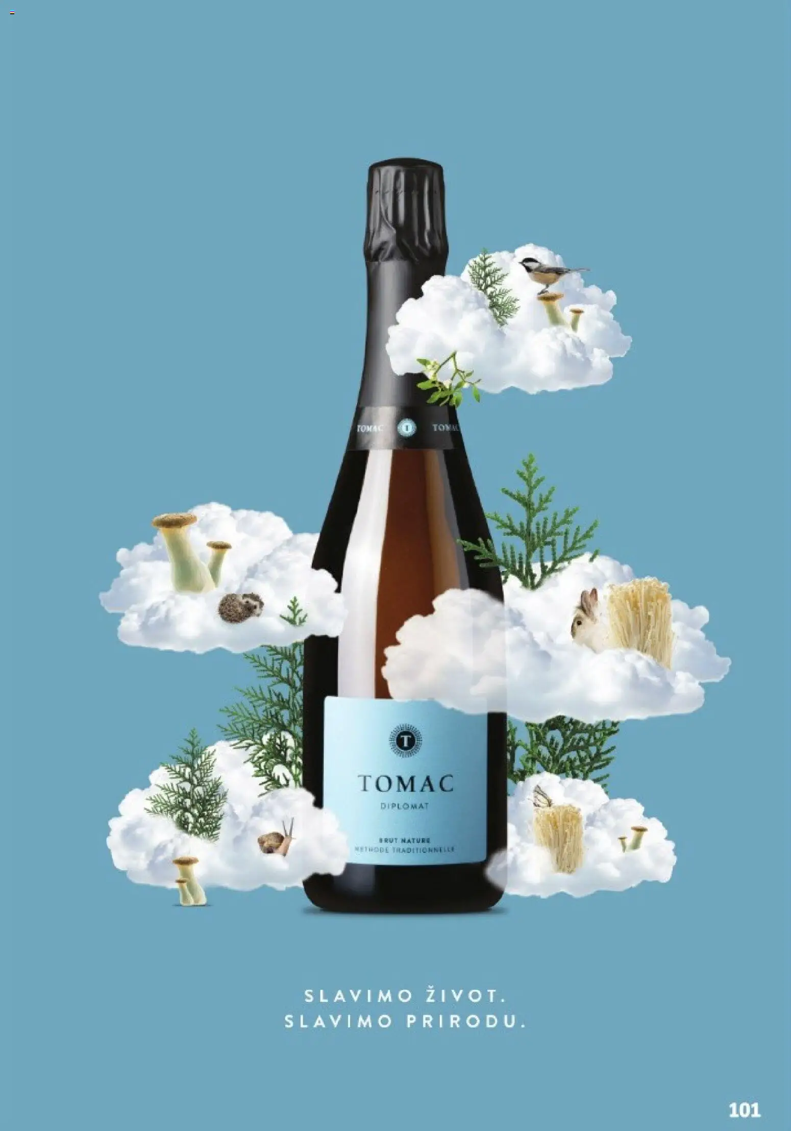 Vrutak katalog | vrijedi od 01.11.2025 | Stranica: 101