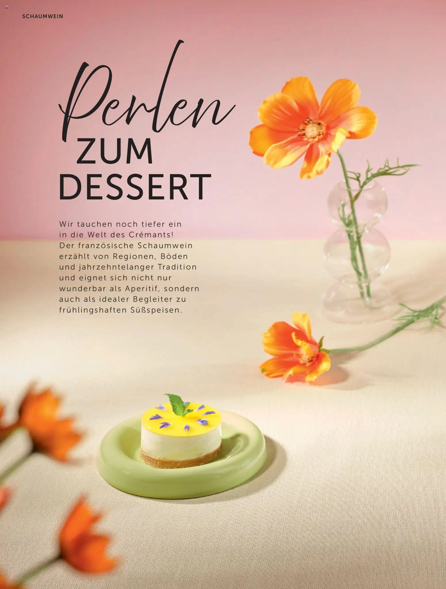 Interspar Meine Weinwelt Frühling 2026 gültig ab 05.03.2026 | Seite: 42