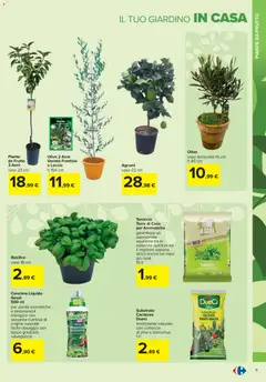 Anteprima del volantino Carrefour Iper Giardinaggio - Roma catalogo valido a partire dal 19.02.2026 | Pagina: 5 | Prodotti: Concime, Agrumi, Terriccio, Vaso