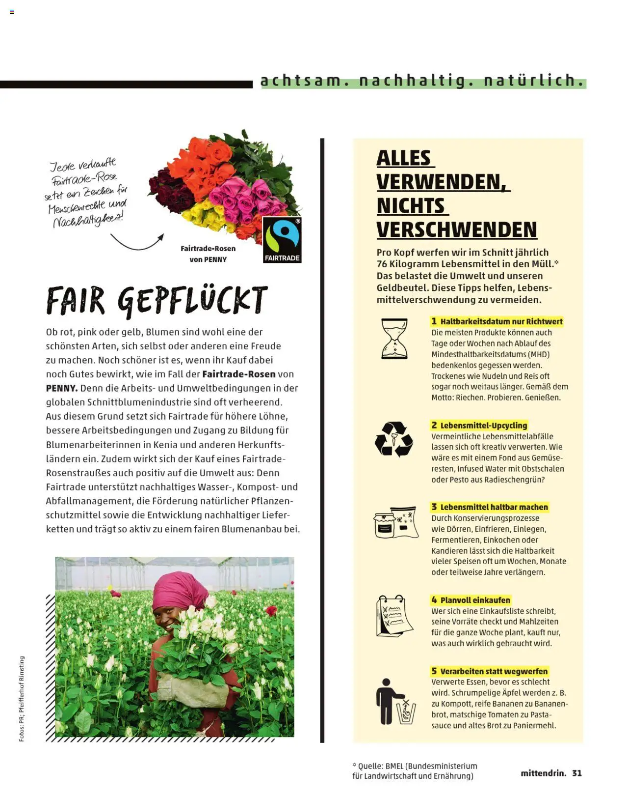 Penny  Kundenmagazin Sommer - gültig ab dem 13.06.2025 | Seite: 31 | Produkte: Äpfel, Gemüse, Brot, Nudeln