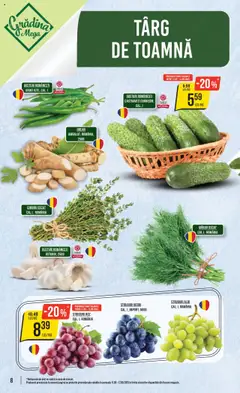 Noul catalog Mega Image – valabil de la 11.09.2025 | Pagină: 8