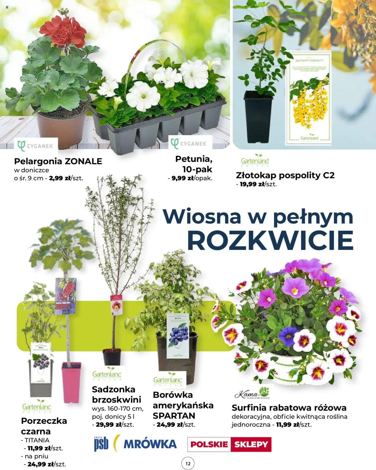 Mrówka Gazetka - Warszawa od 24.04.2025 | Strona: 12 | Produkty: Borówka amerykańska, Porzeczka