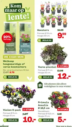 Welkoop - Folder - Voorbeeld van een folder van Welkoop, geldig van 16.02.2026 | Pagina: 12