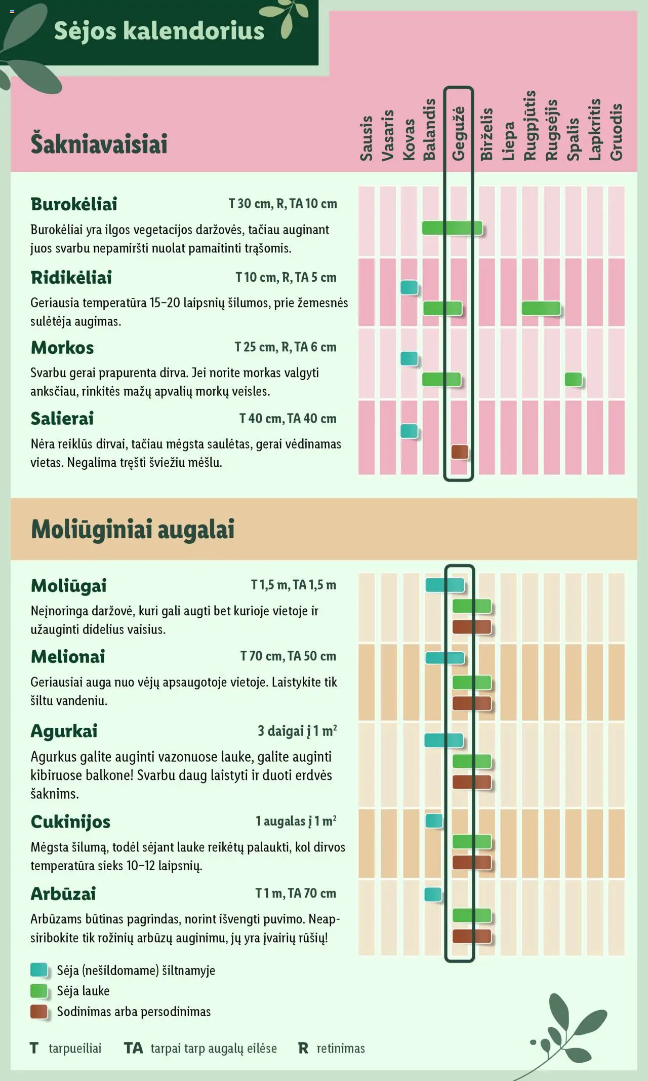 LIDL leidinys - Švenčiame sodą│galioja nuo 12.05.2025 | Puslapis: 8 | Prekių: Agurkai, Morkos