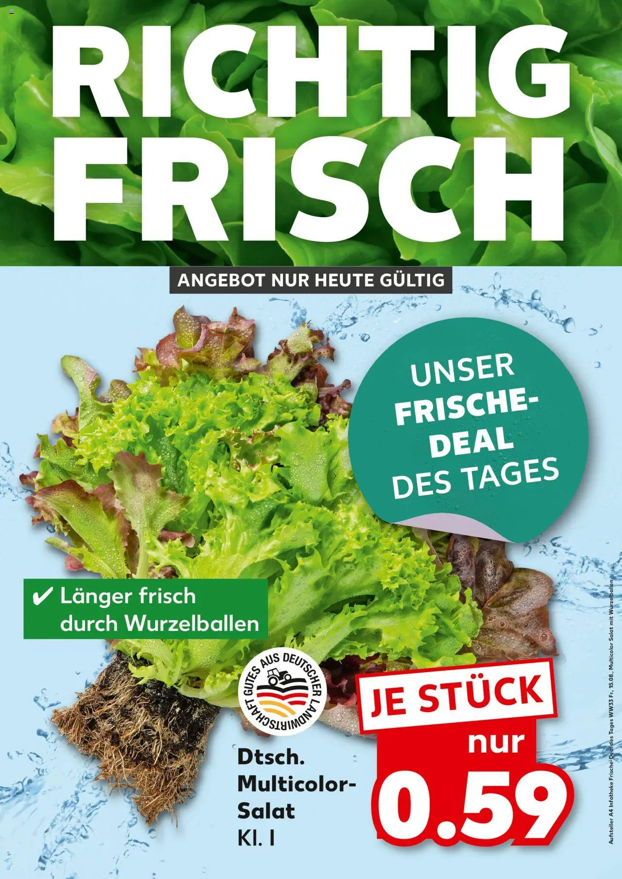 Kaufland prospekt Rostock	 - gültig ab dem 15.08.2025 | Seite: 1 | Produkte: Salat