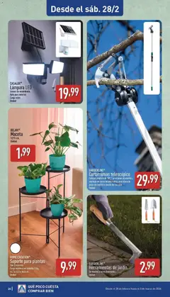 Vista previa BELAVI® Maceta, 12/15 cm. Unidad válido desde el 23.02.2026 | Página: 24 | Productos: Tijera de poda, Soporte para plantas, Maceta, Lámpara