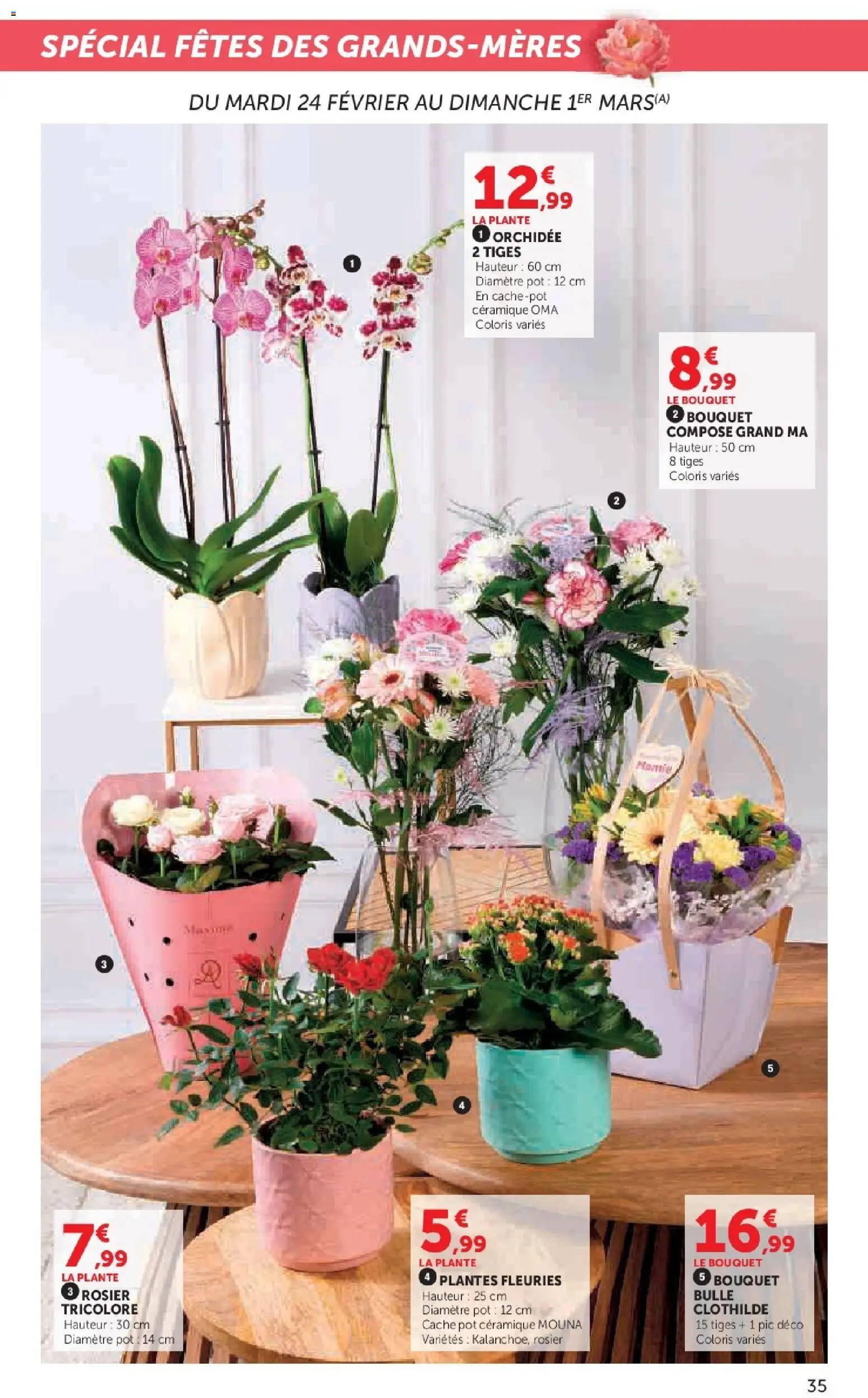 {H1} | Page: 35 | Produits: Rosier, Plantes, Orchidée