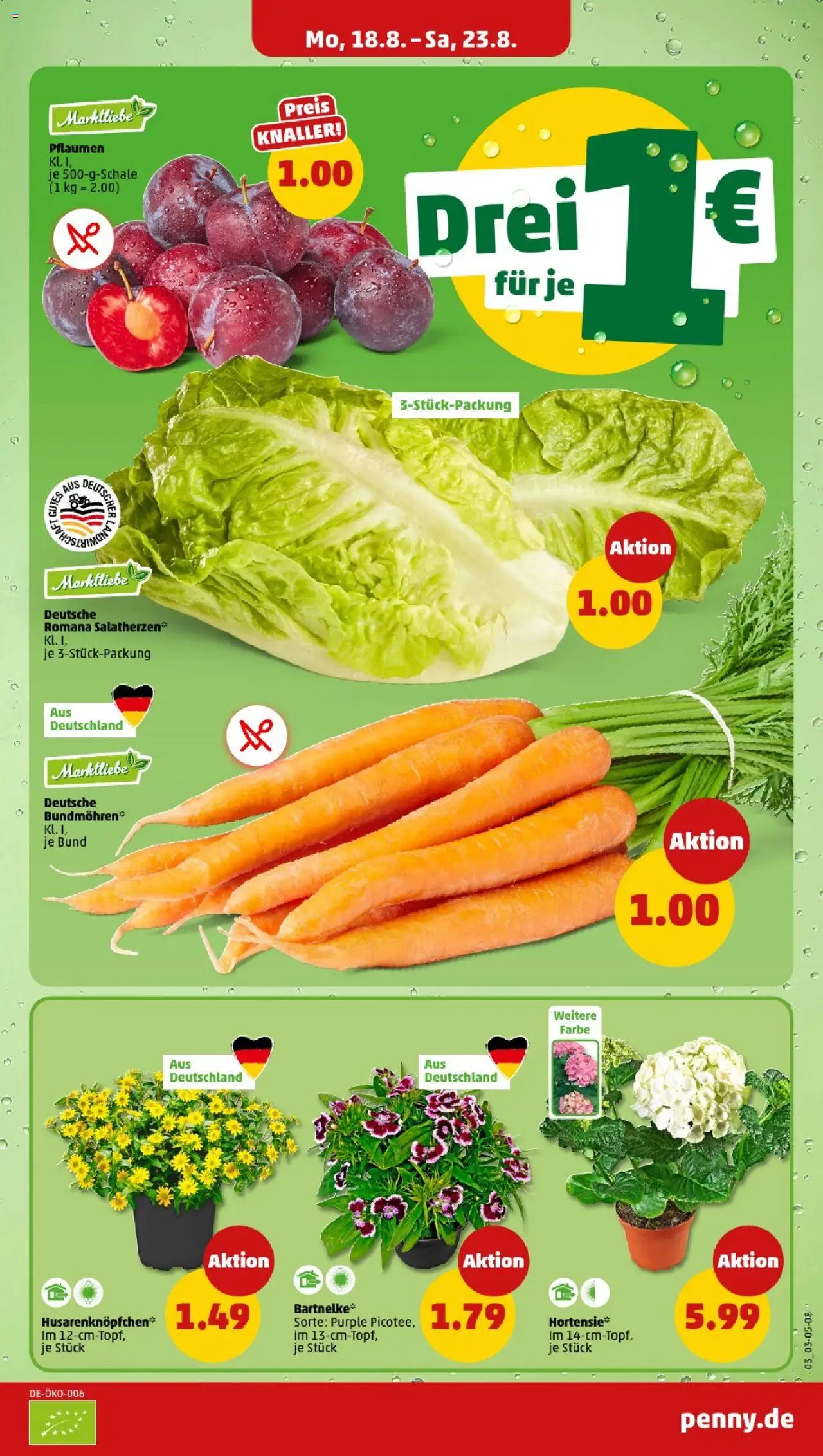 Penny - Niedersachsen - gültig ab dem 18.08.2025 | Seite: 3 | Produkte: Pflaumen