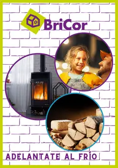 Vista previa BriCor folleto válido desde el 04.11.2025
