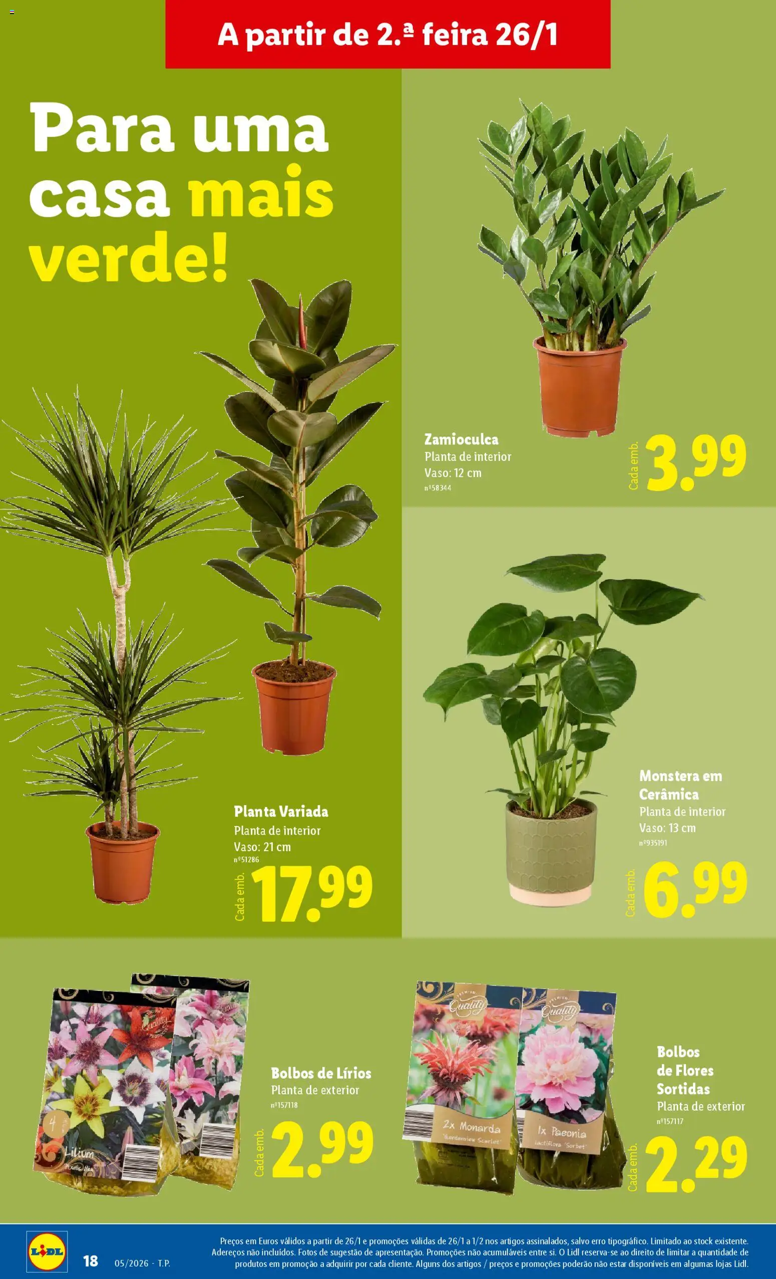 Lidl Novidades │ válido de 26.01.2026 | Página: 18 | Produtos: Flores, Vaso