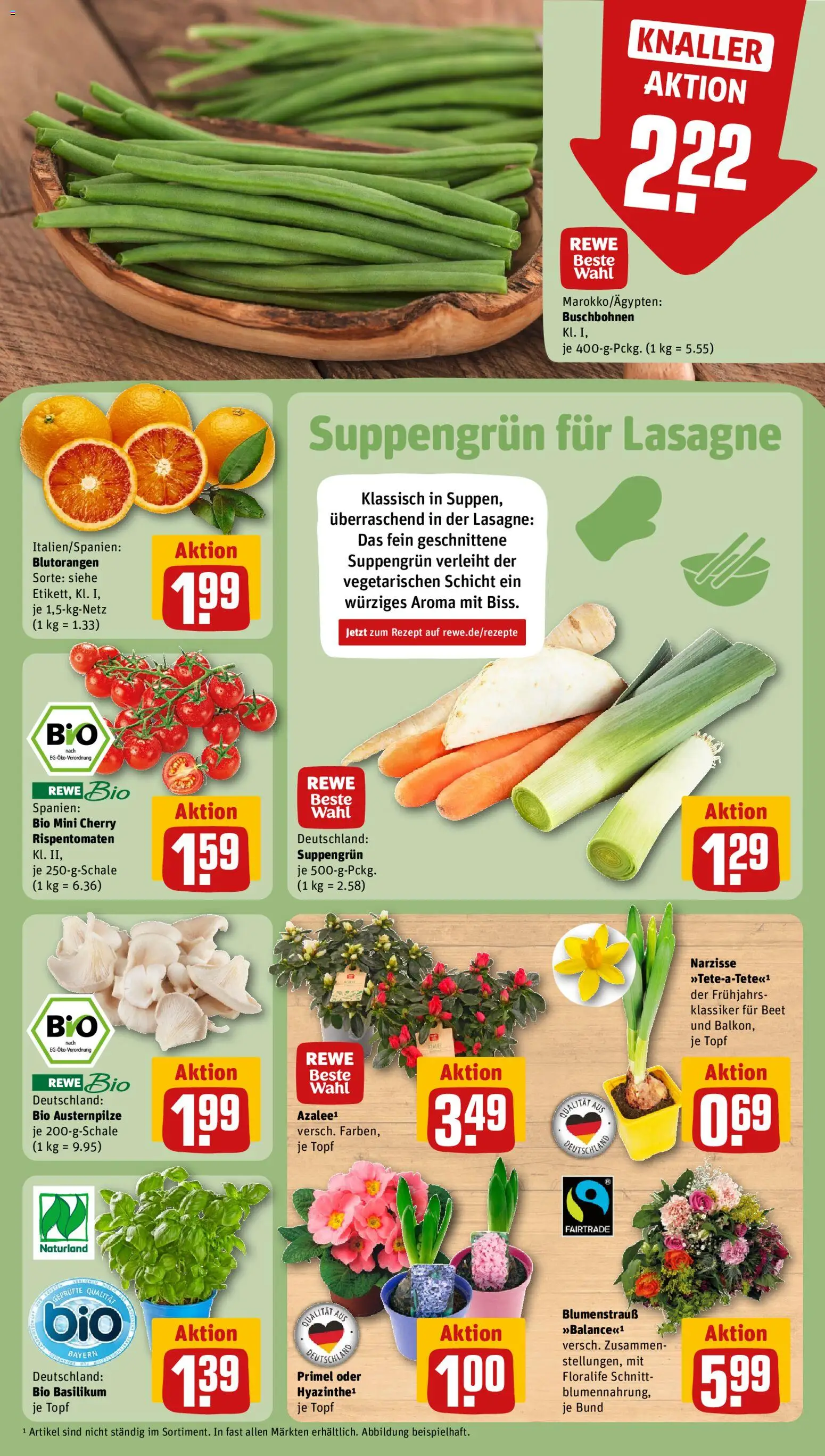 {H1} | Pagina: 9 | Producten: Lasagne