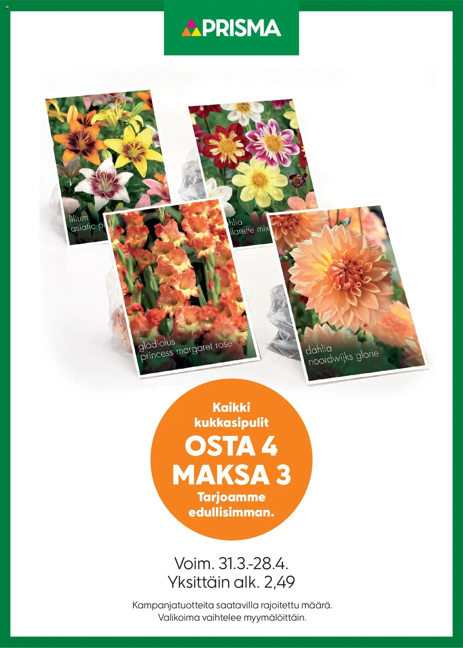 Prisma tarjoukset kukkasipulit – voimassa 31.03.2026 alkaen | Sivu: 1