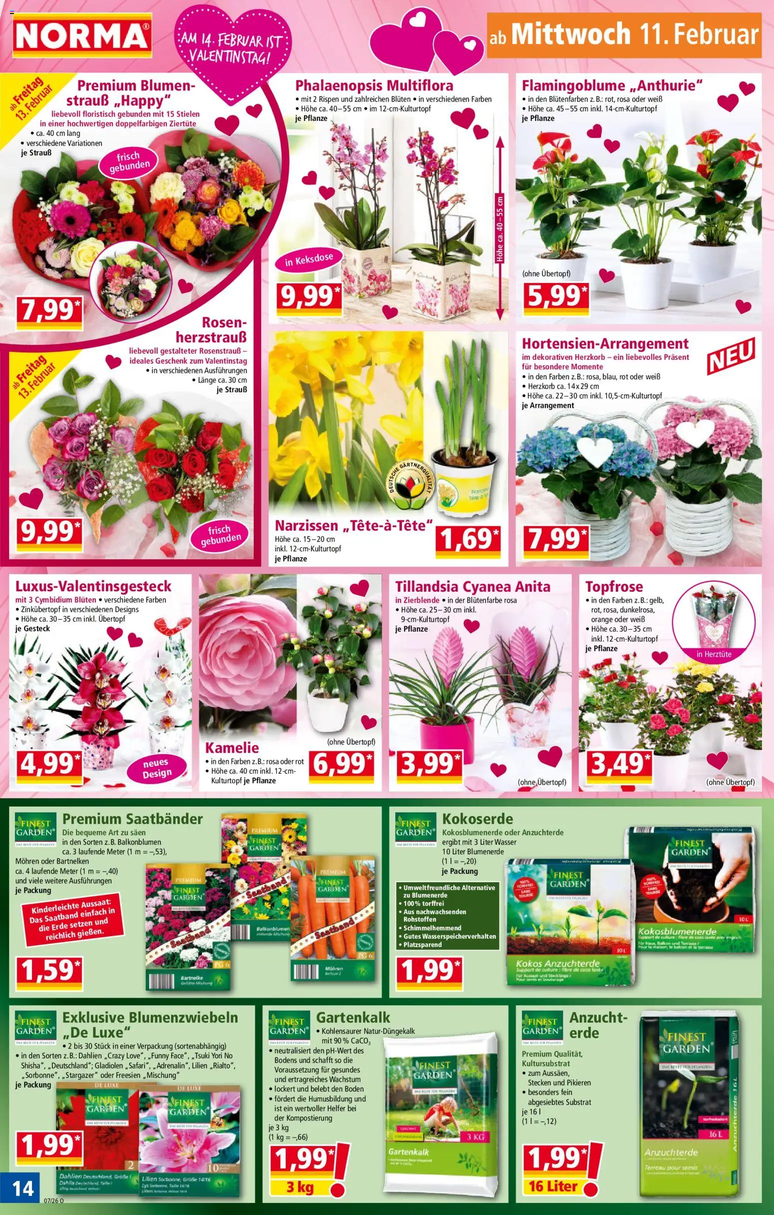 Norma Prospekt 	 – gültig ab 09.02.2026 | Seite: 14 | Produkte: Blumen, Mohren, Blumenerde, Wasser