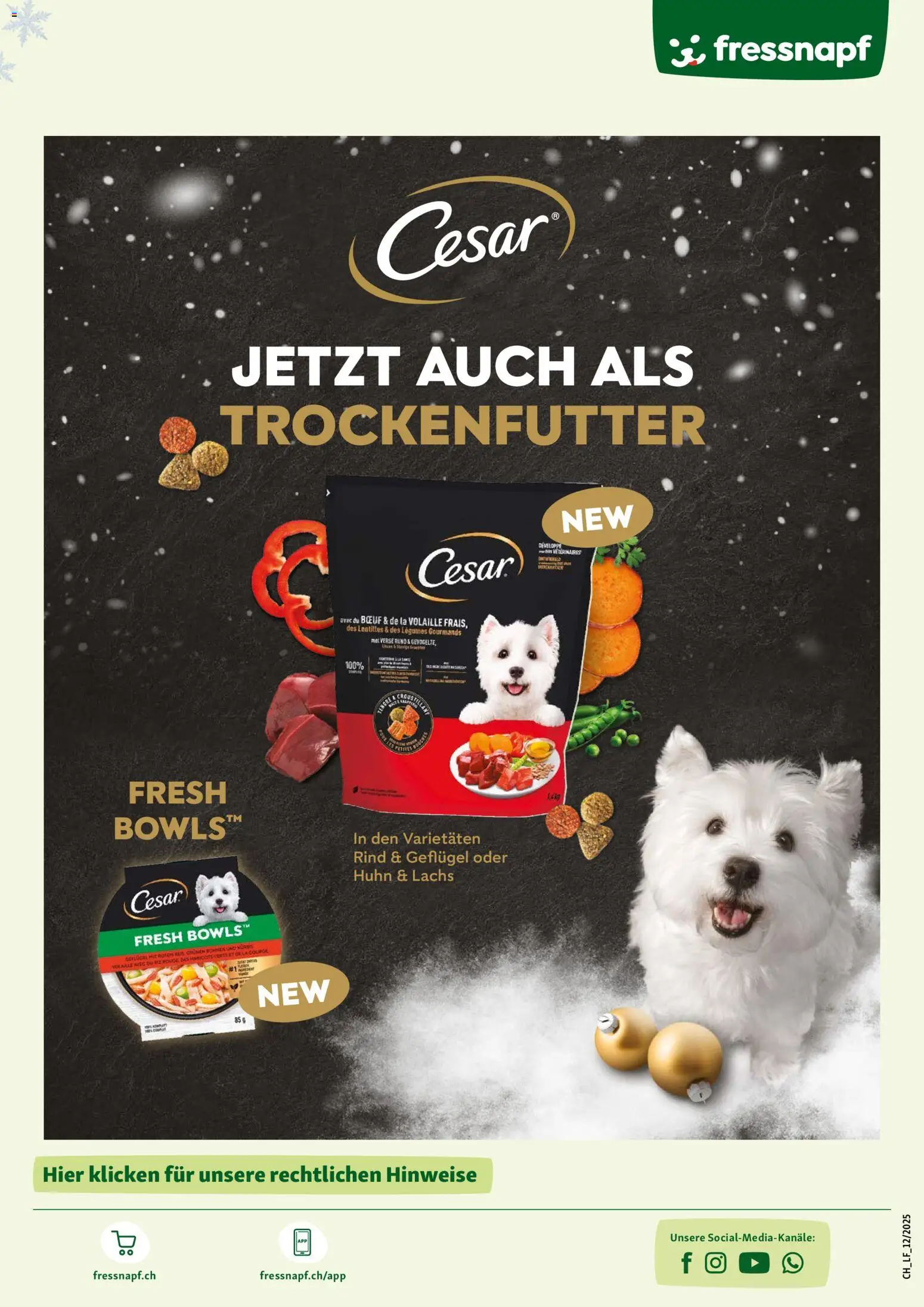 Fressnapf Aktionen – gültig ab 11.12.2025 | Seite: 15 | Produkte: Lachs