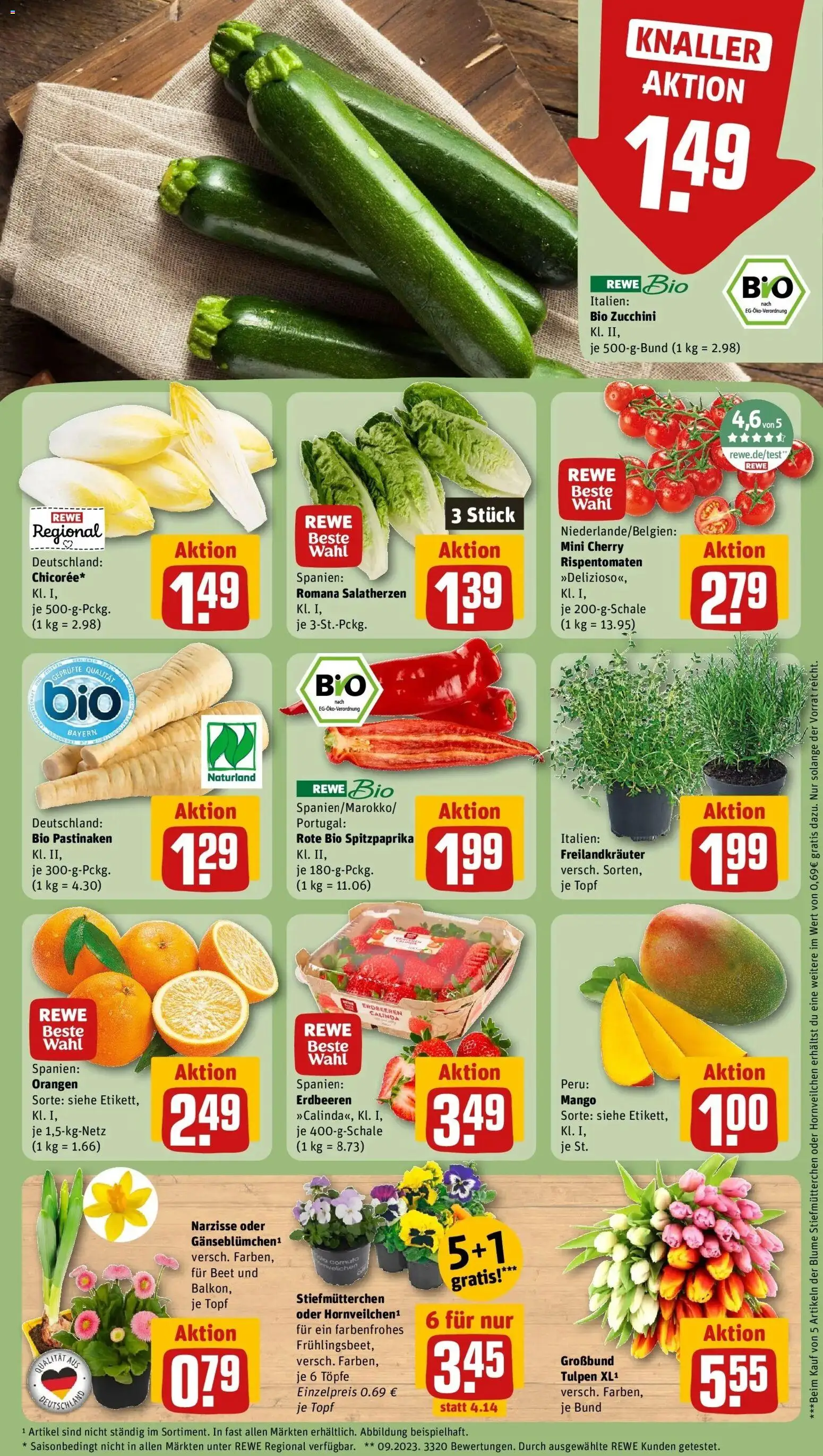 Rewe Prospekt München	 – gültig ab 15.03.2026 | Seite: 9 | Produkte: Stiefmutterchen, Orangen, Zucchini, Erdbeeren