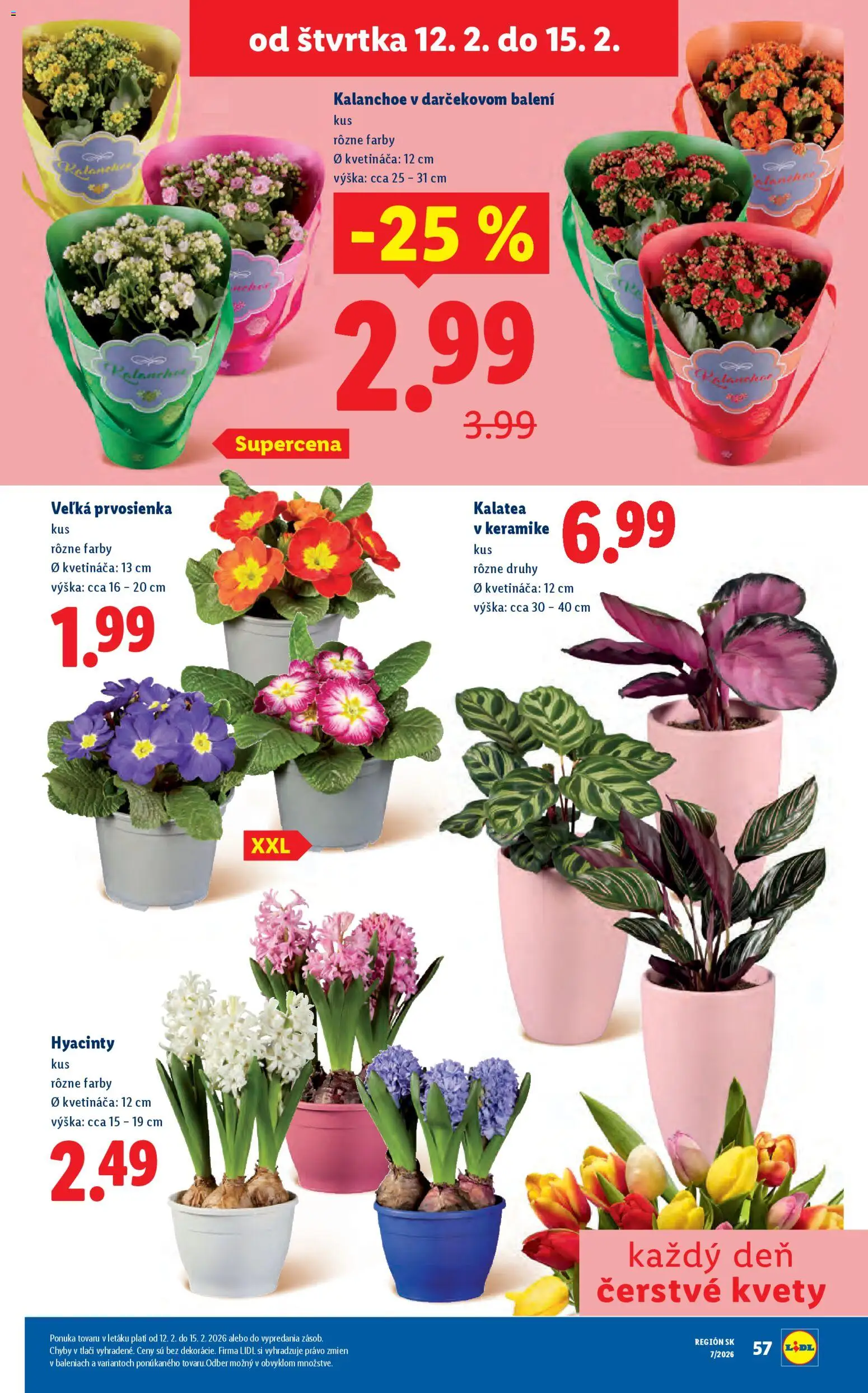 Nové Lidl akcie – leták je platný od 09.02.2026 | Strana: 63