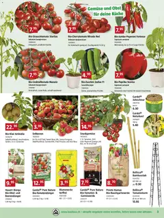 Bauhaus aktionen ab 23.03.2026 gültig | Seite: 3 | Produkte: Chili, Gemüse, Erdbeeren, Früchte
