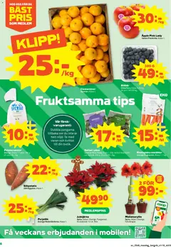 Stora Coop - erbjudanden - Förhandsvisning av reklamblad från butik Stora Coop aktuell från 24.11.2025 | Sida: 8