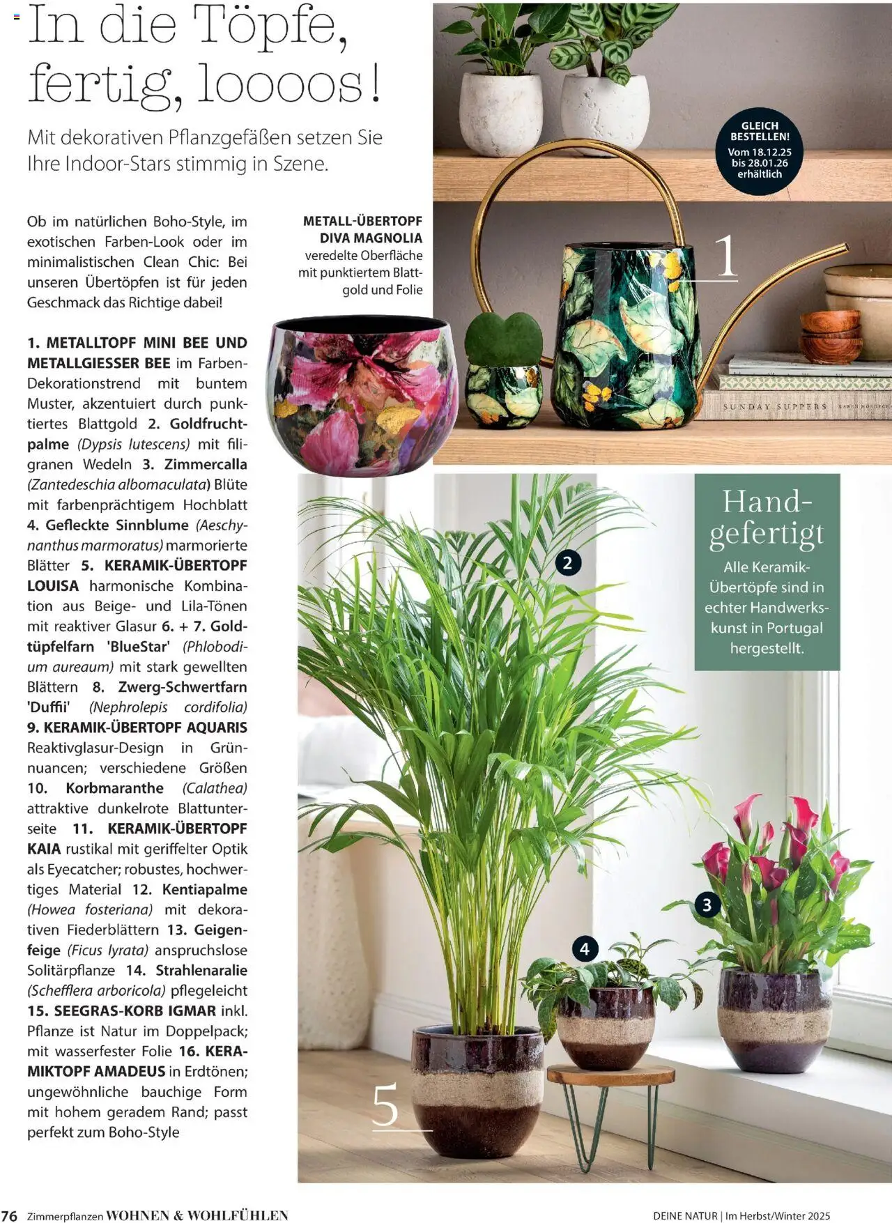 Dehner Prospekt Deine Natur – gültig ab 09.10.2025 | Seite: 76