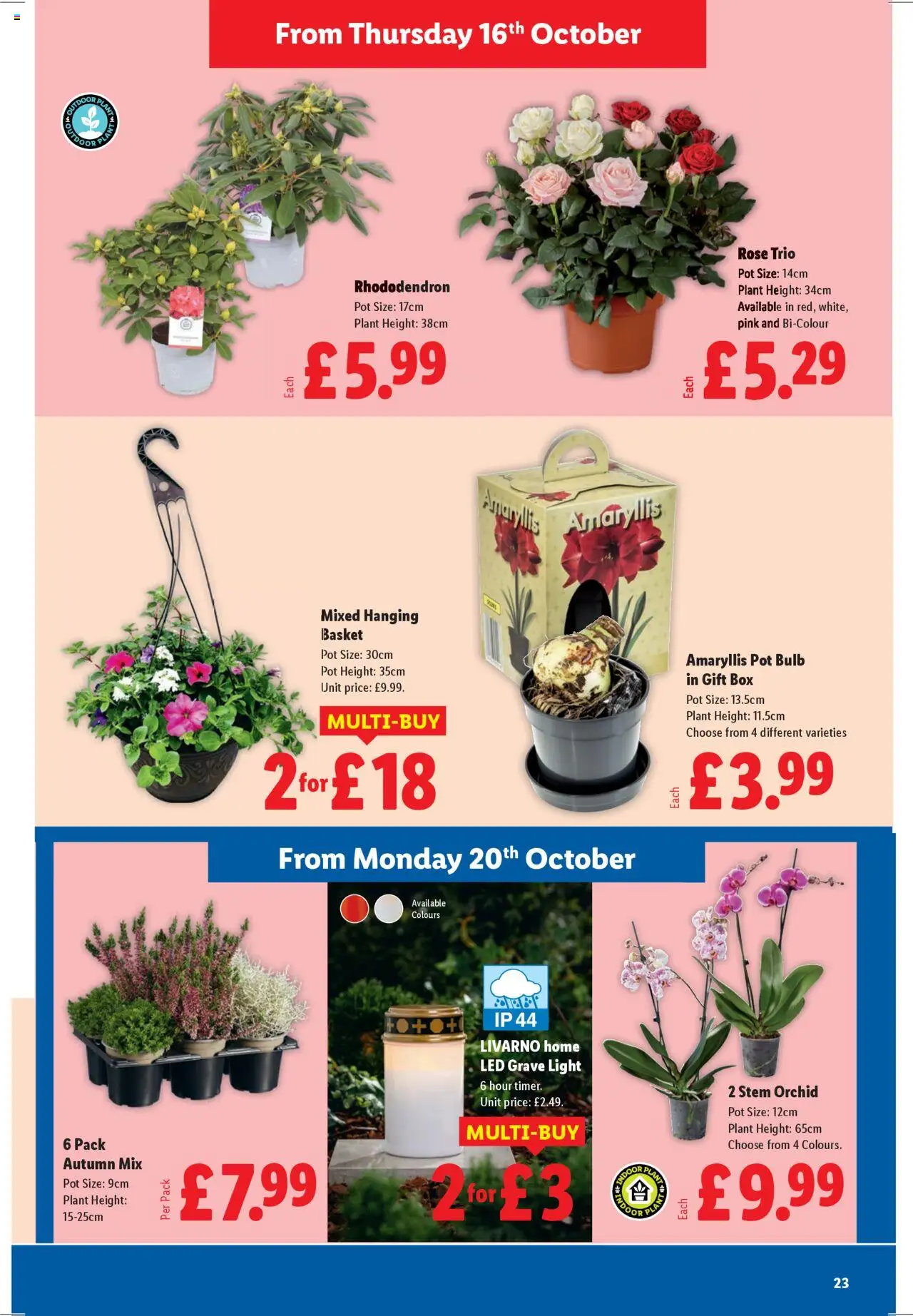 {H1} | Page: 23 | Products: Box, Basket, Pot, Door