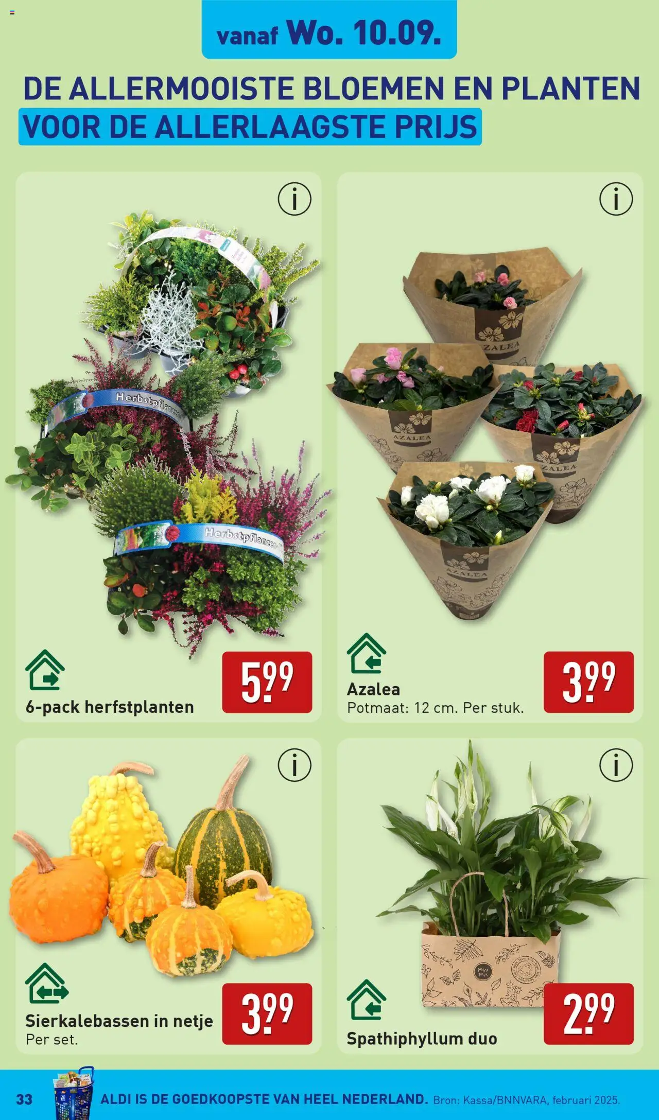  | Pagina: 33 | Producten: Bloemen