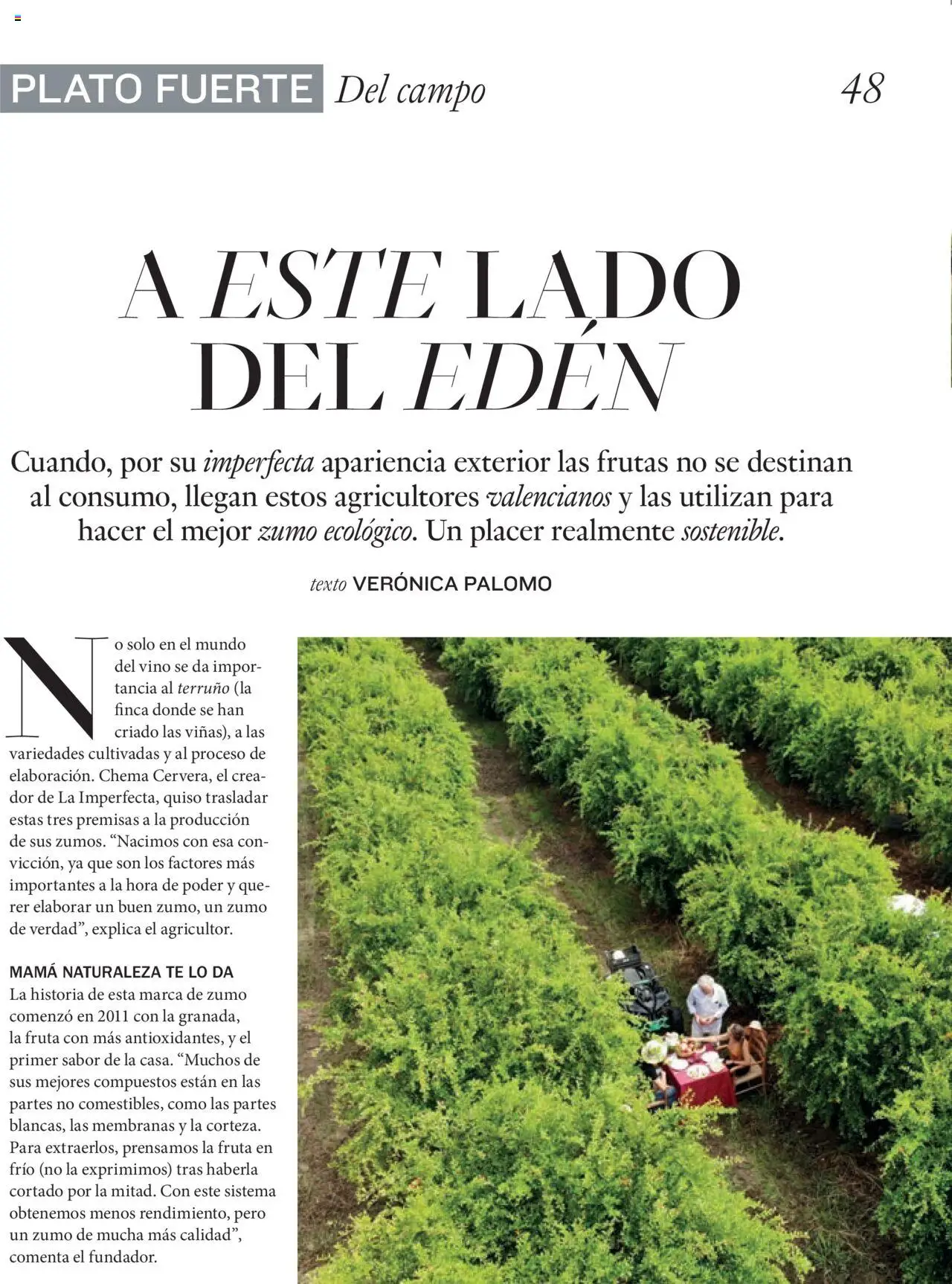 El Corte Inglés ofertas │ válido desde el 27.06.2025 | Página: 48 | Productos: Vino, Ροζ πιπέρι, Té