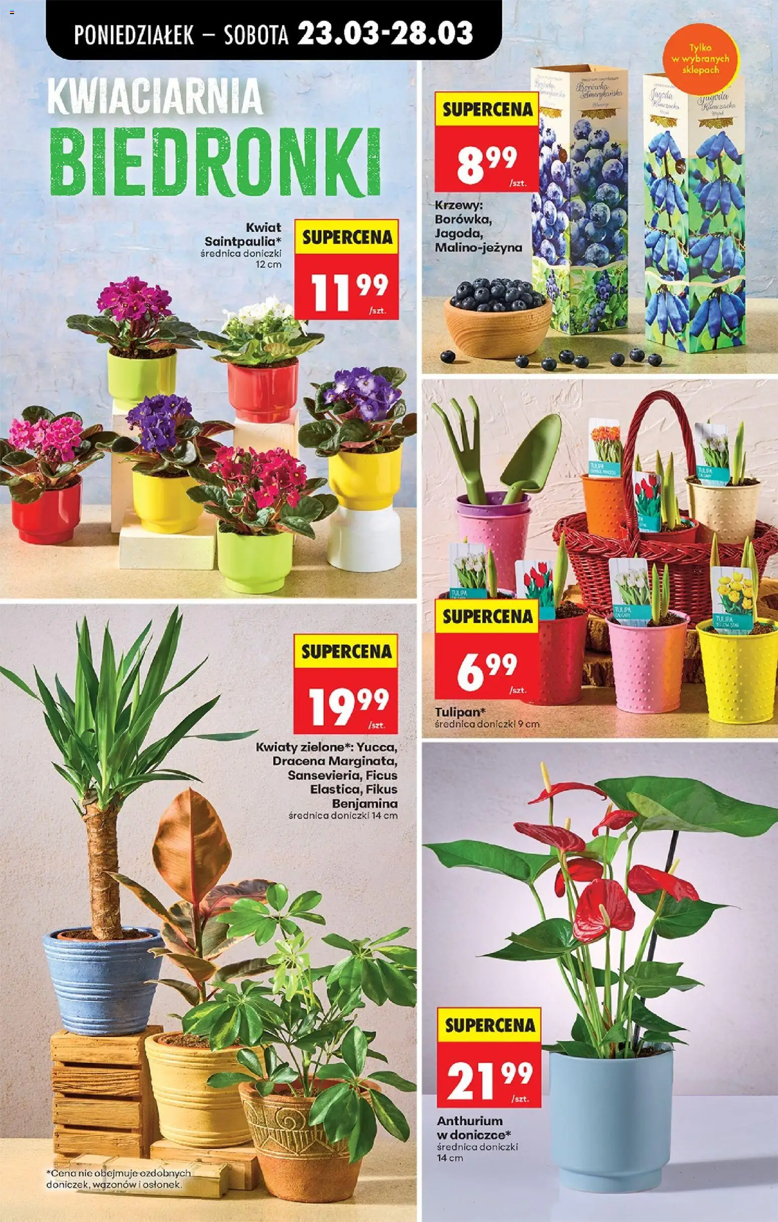 Biedronka Polsko leták od 23.03.2026 | Strana: 15