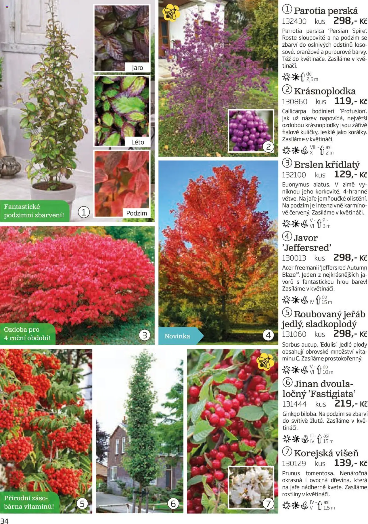 Starkl katalog podzim 2025 od 01.08.2025 | Strana: 34 | Produkty: Rostliny